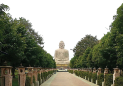 A giant statue of the Buddha as seen down a wide lane, flanked by trees on both sides