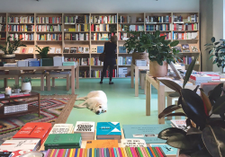 Bookcases and a dog inside Commonplace Books in Oklahoma City.