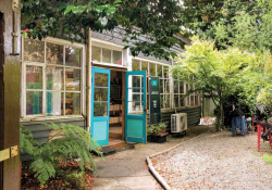 Photo of the exterior of a bookstore swallowed up by trees