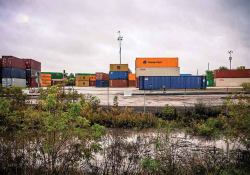 A photograph of a scrubby untended patch of plants sitting just outside of the fence to an industrial area